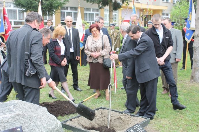 Zdjęcie z galerii