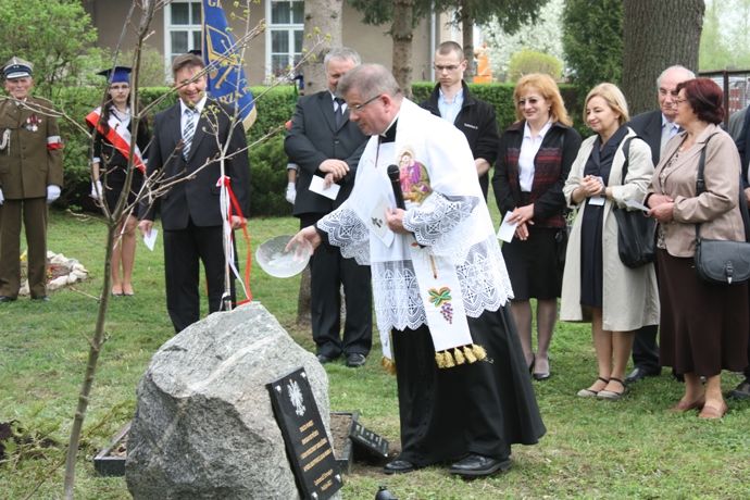 Zdjęcie z galerii