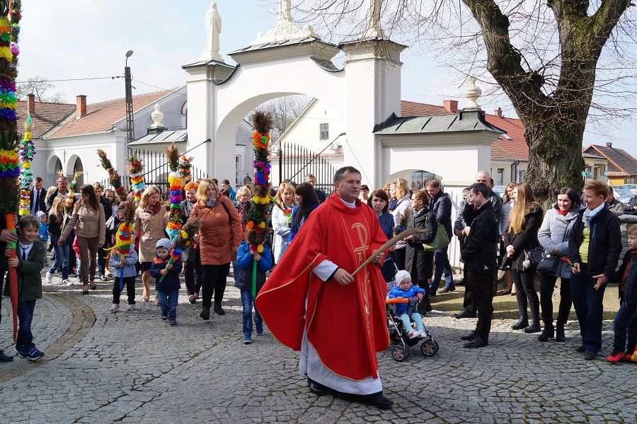 Zdjęcie z galerii