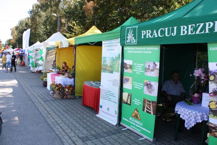 Zdjęcie z galerii