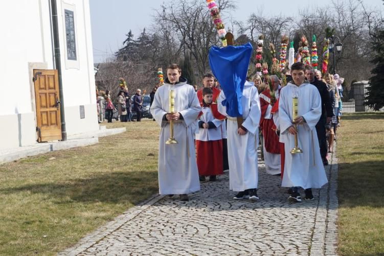 Zdjęcie z galerii