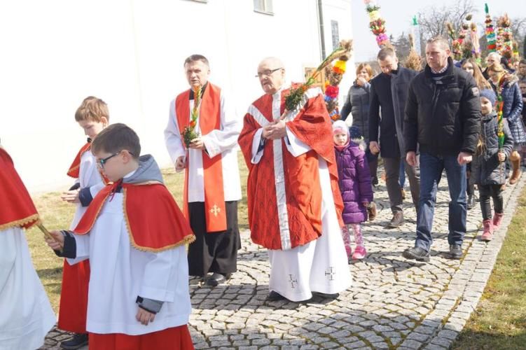 Zdjęcie z galerii