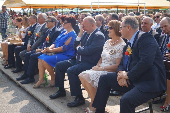 Zdjęcie z galerii