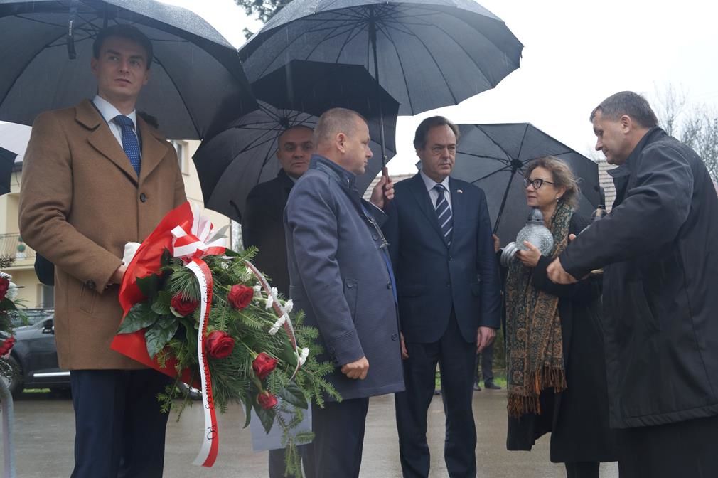 Zdjęcie z galerii