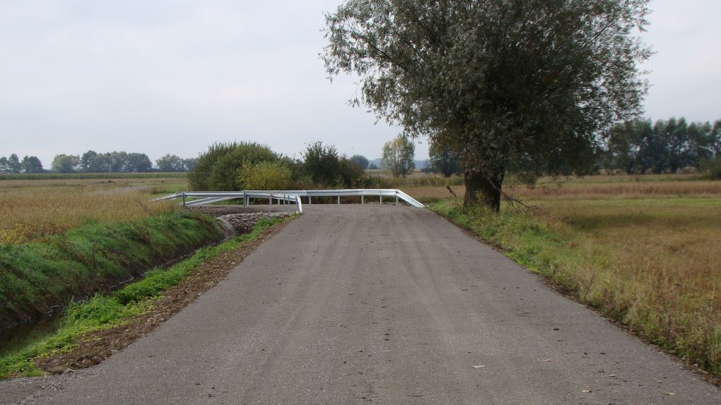 Zdjęcie z galerii