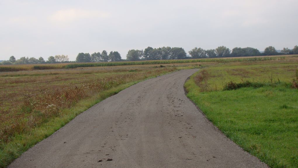 Zdjęcie z galerii