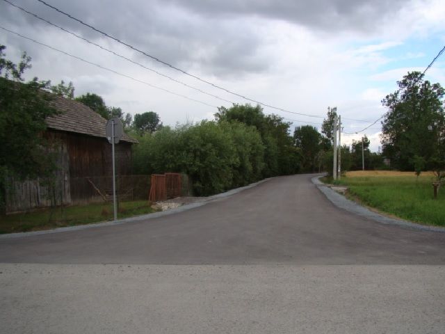 Zdjęcie z galerii