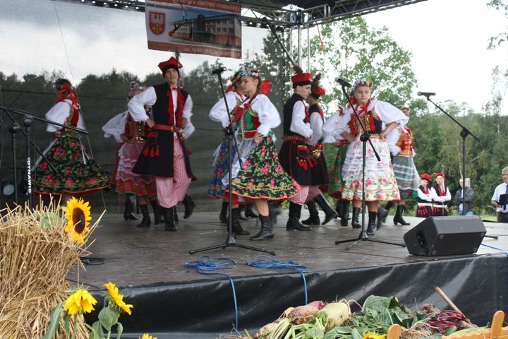 Zdjęcie z galerii