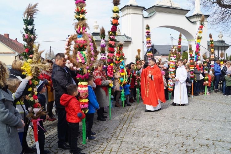 Zdjęcie z galerii