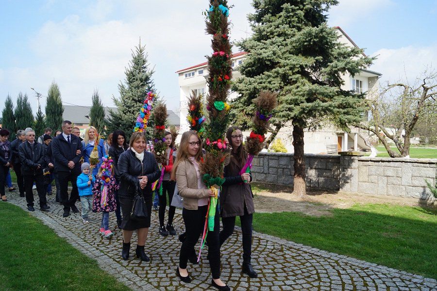 Zdjęcie z galerii