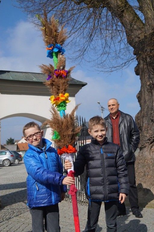Zdjęcie z galerii