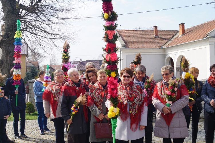 Zdjęcie z galerii