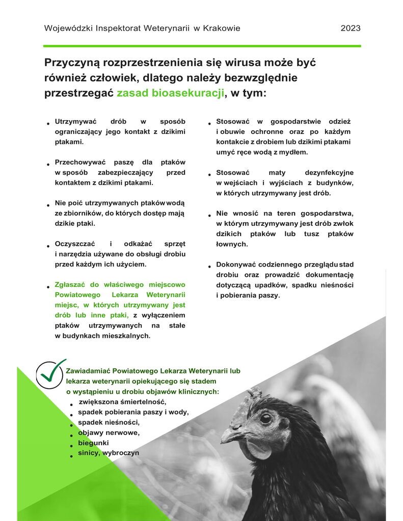 Zdjęcie z galerii
