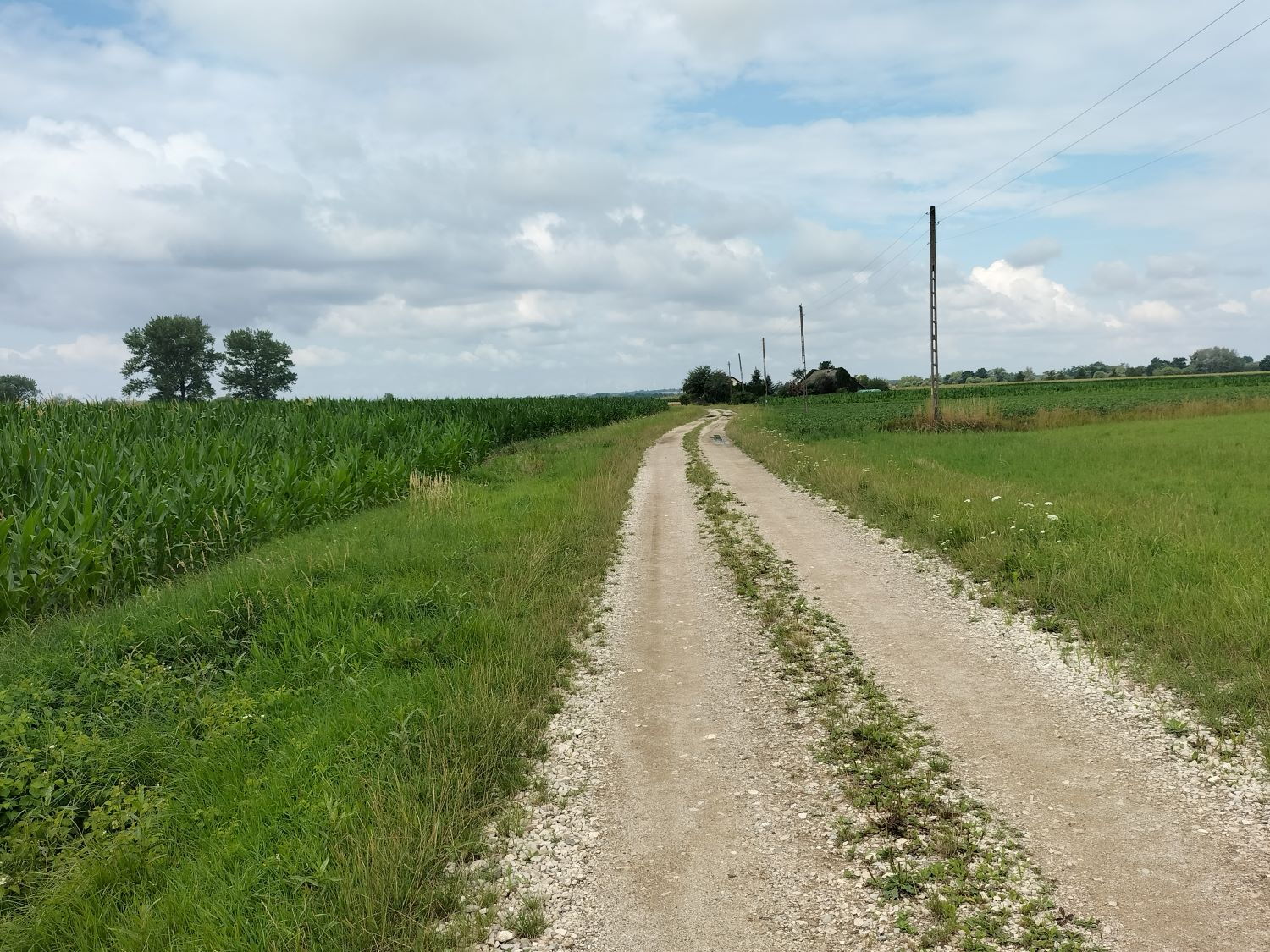 Zdjęcie z galerii