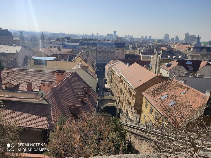 Zdjęcie z galerii