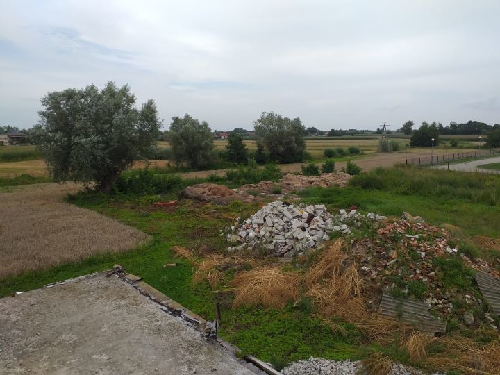 Zdjęcie z galerii