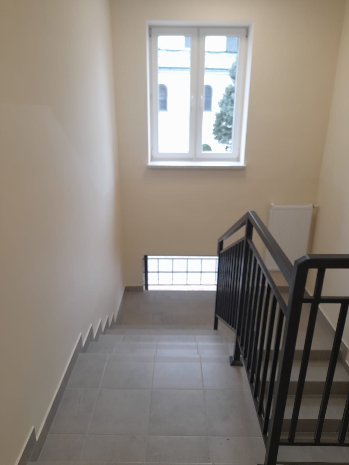 Zdjęcie z galerii