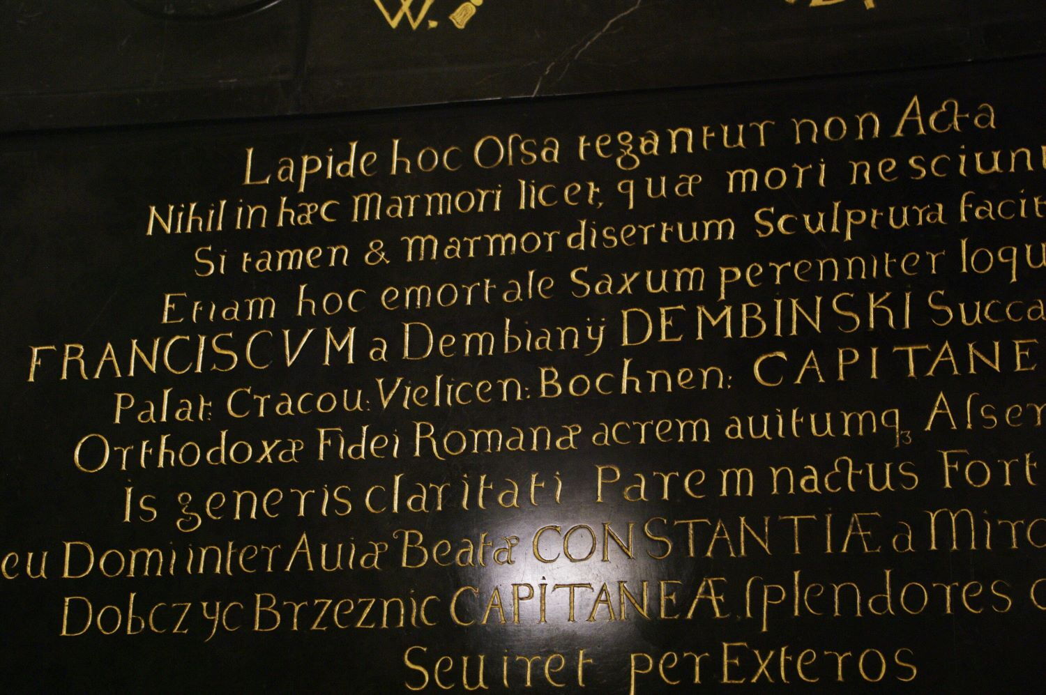 Zdjęcie z galerii