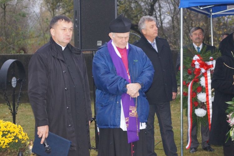 Zdjęcie z galerii