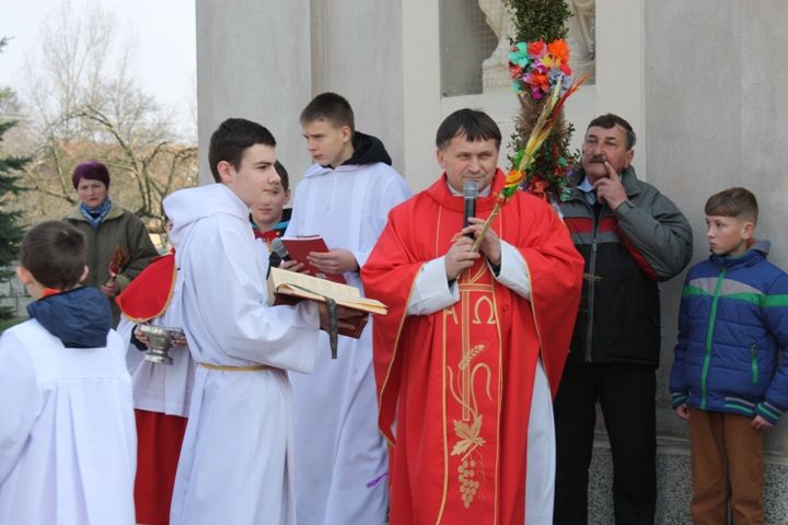 Zdjęcie z galerii