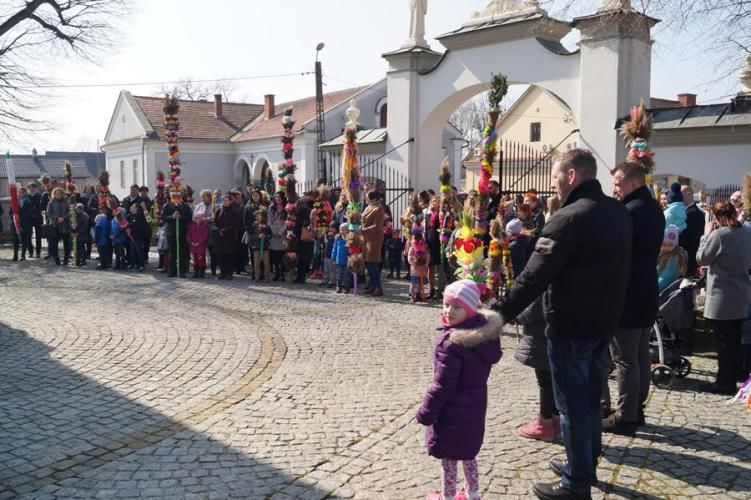 Zdjęcie z galerii