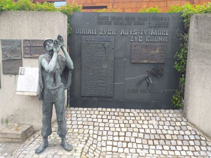 Zdjęcie z galerii