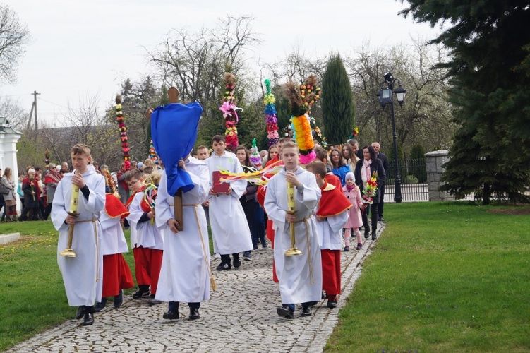 Zdjęcie z galerii