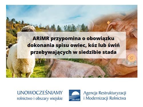 ARiMR przypomina o obowiązku dokonania spisu owiec, kóz lub świń przebywających w siedzibie stada