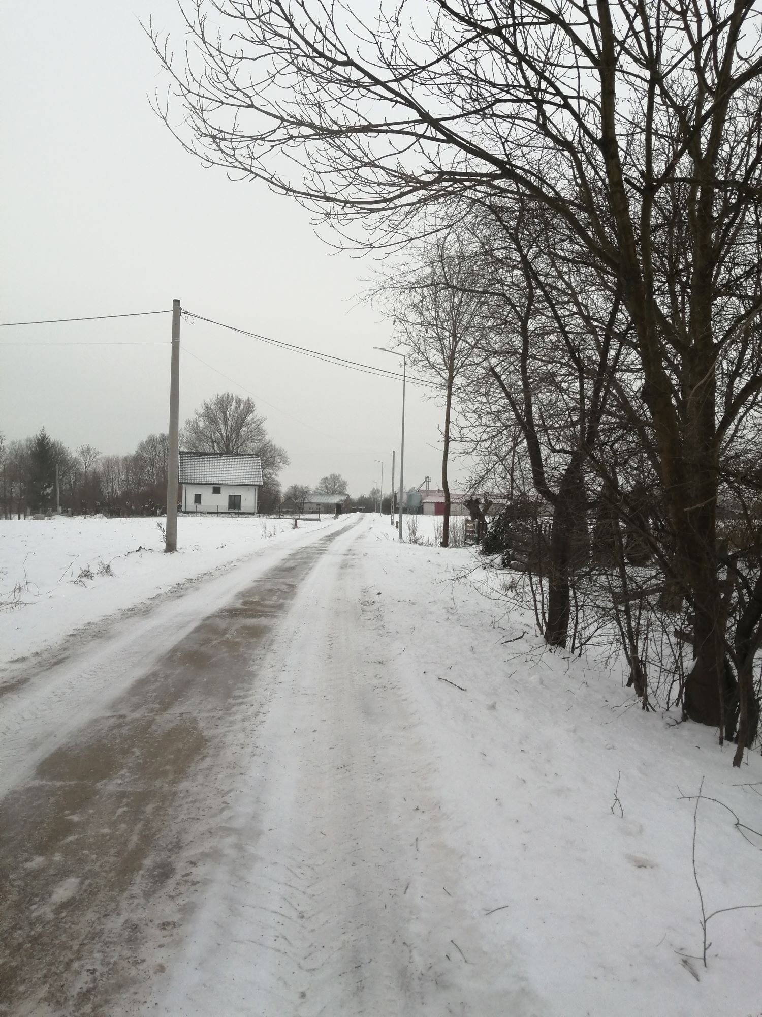 Zdjęcie z galerii
