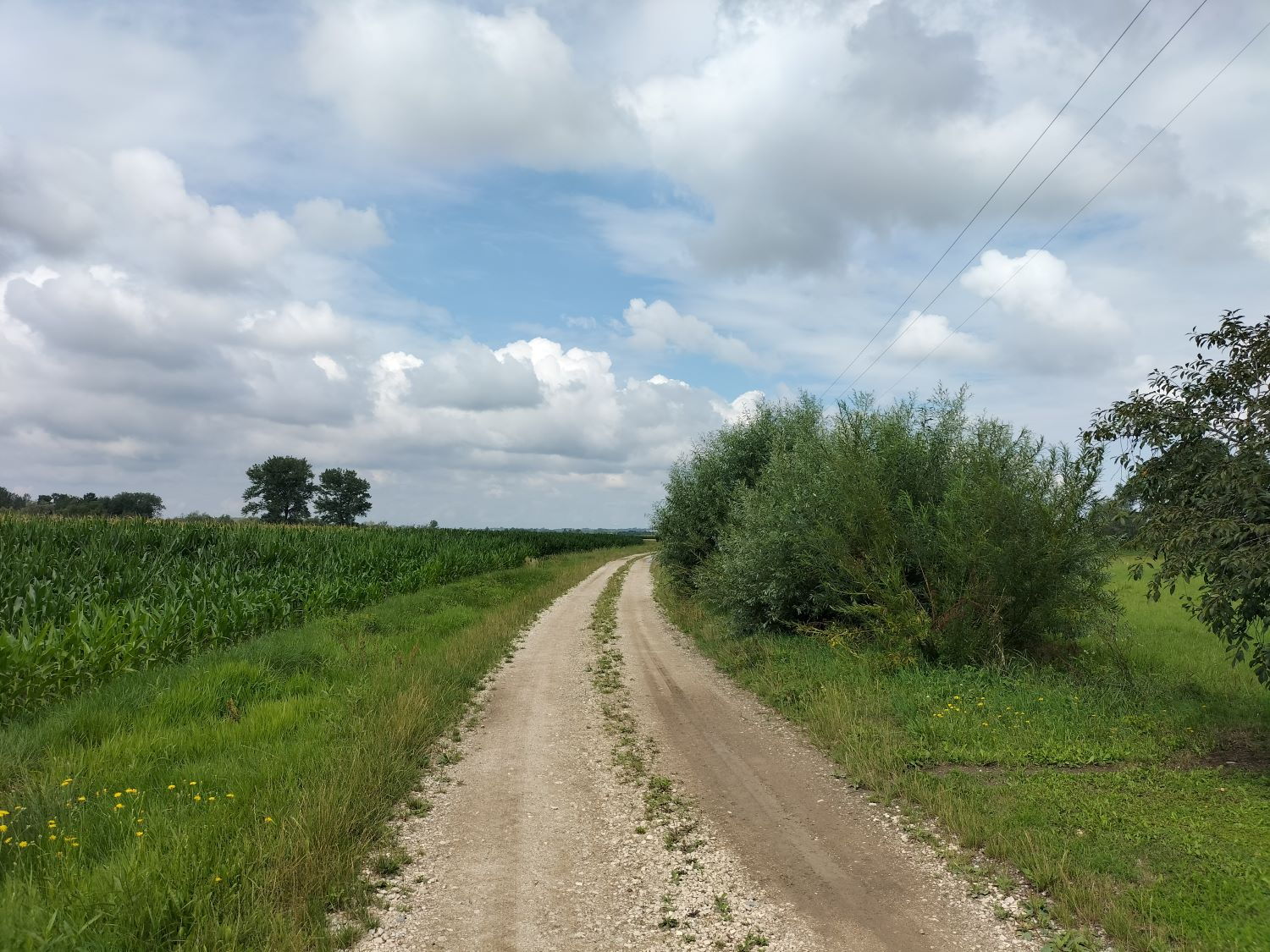 Zdjęcie z galerii