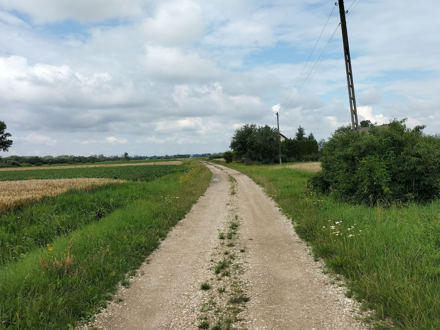 Zdjęcie z galerii