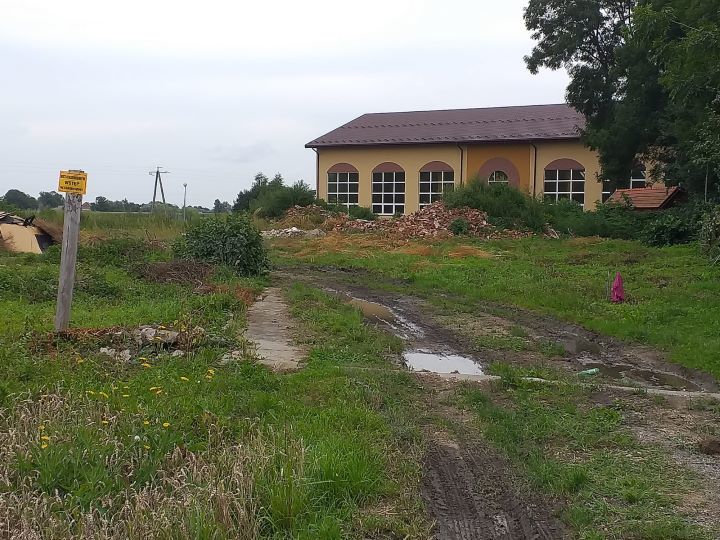 Zdjęcie z galerii