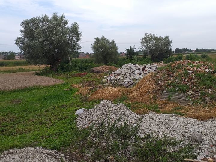 Zdjęcie z galerii