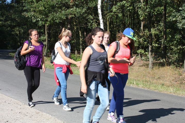 Zdjęcie z galerii