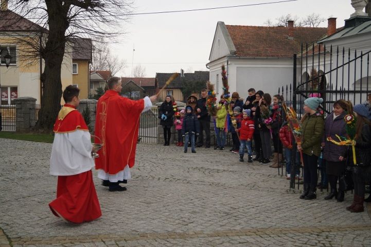 Zdjęcie z galerii