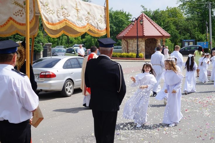 Zdjęcie z galerii