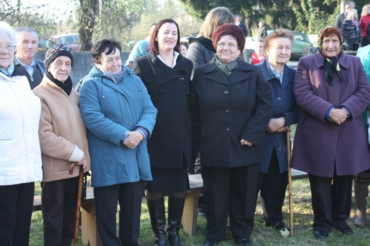 Zdjęcie z galerii