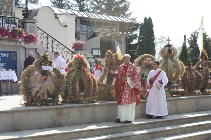 Zdjęcie z galerii
