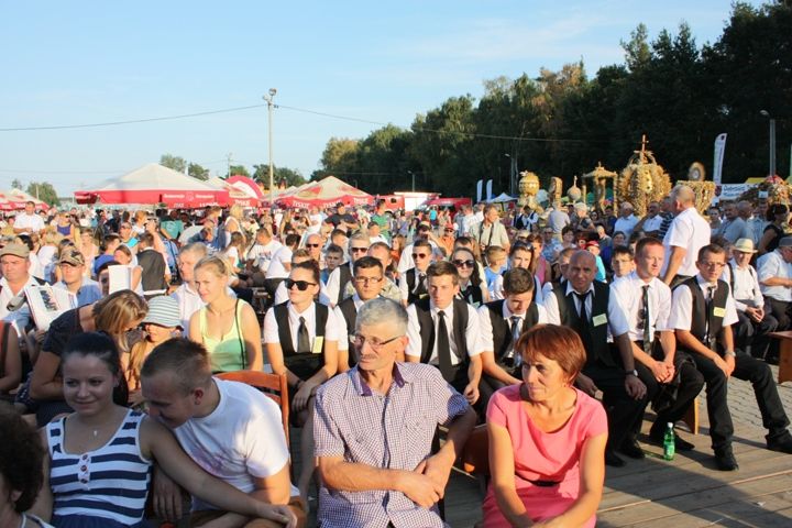 Zdjęcie z galerii