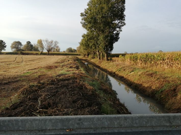 Zdjęcie z galerii
