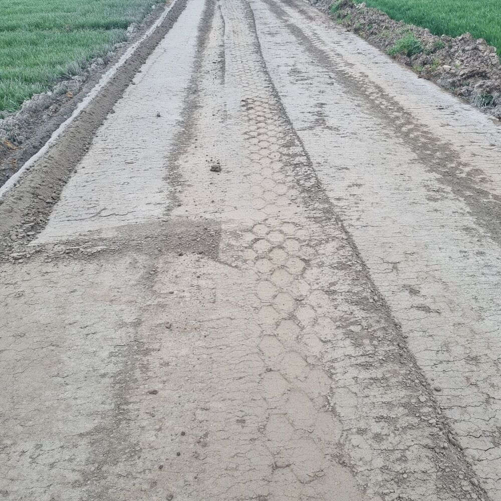 Zdjęcie z galerii