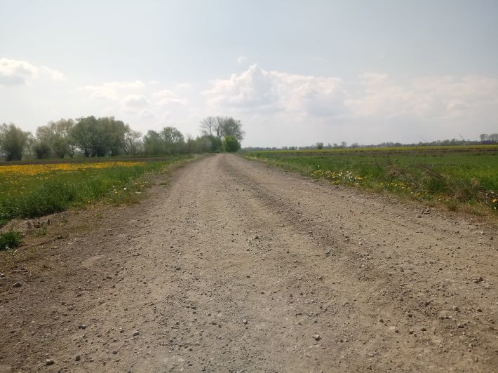 Zdjęcie z galerii