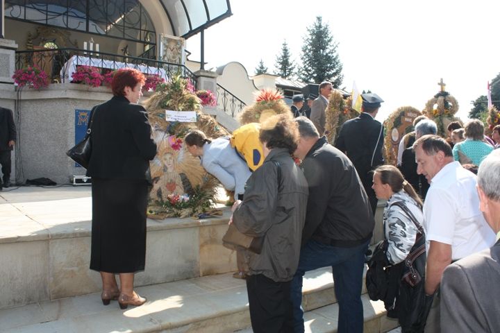 Zdjęcie z galerii