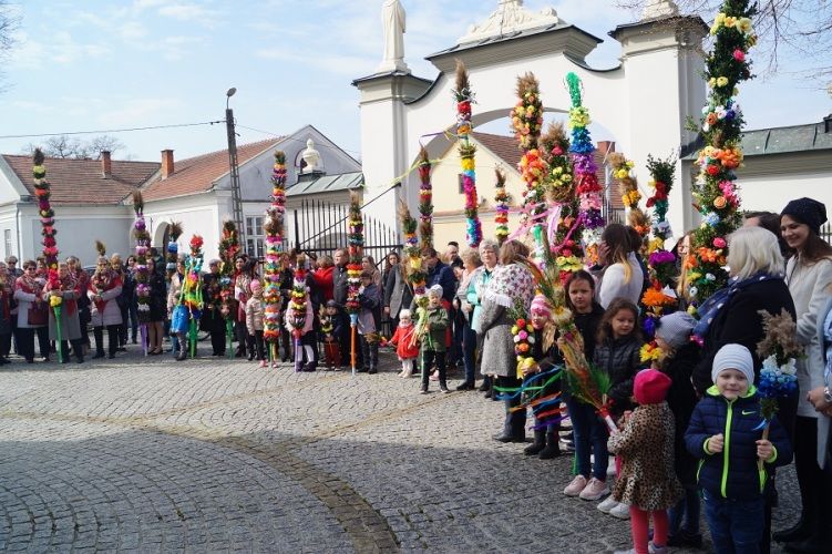 Zdjęcie z galerii