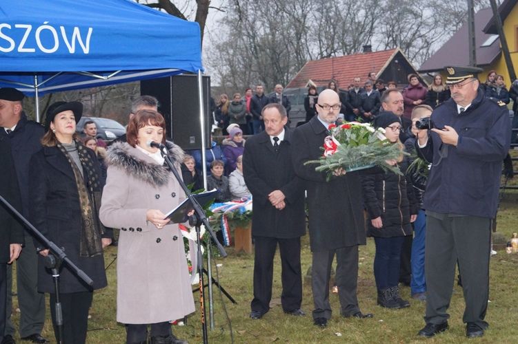 Zdjęcie z galerii