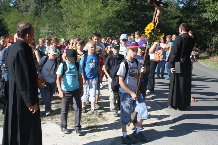 Zdjęcie z galerii