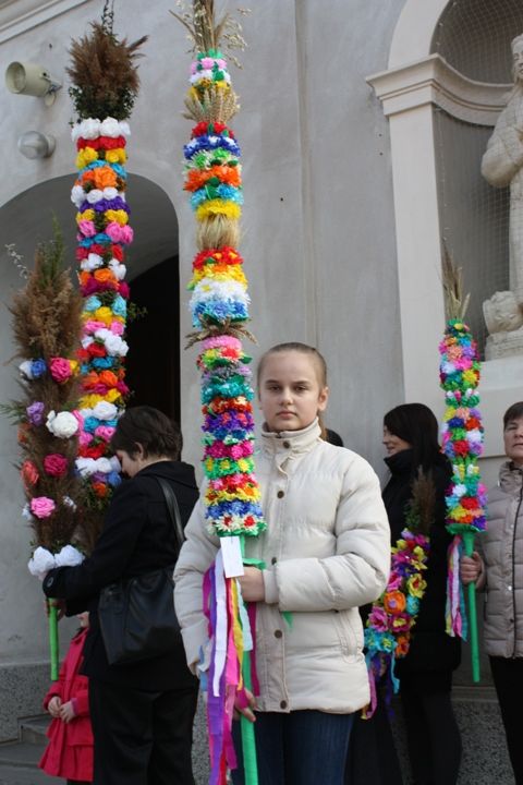 Zdjęcie z galerii