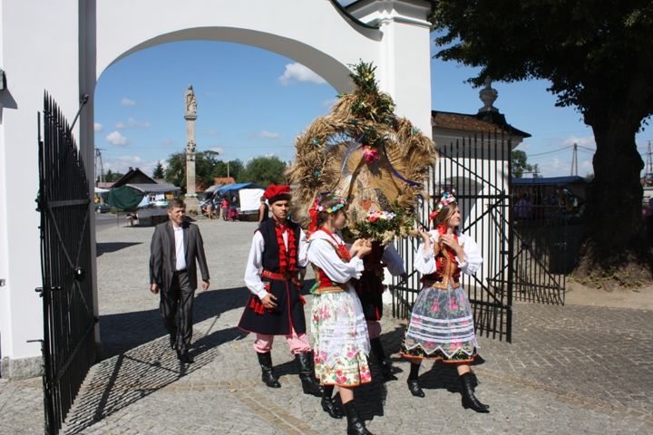 Zdjęcie z galerii