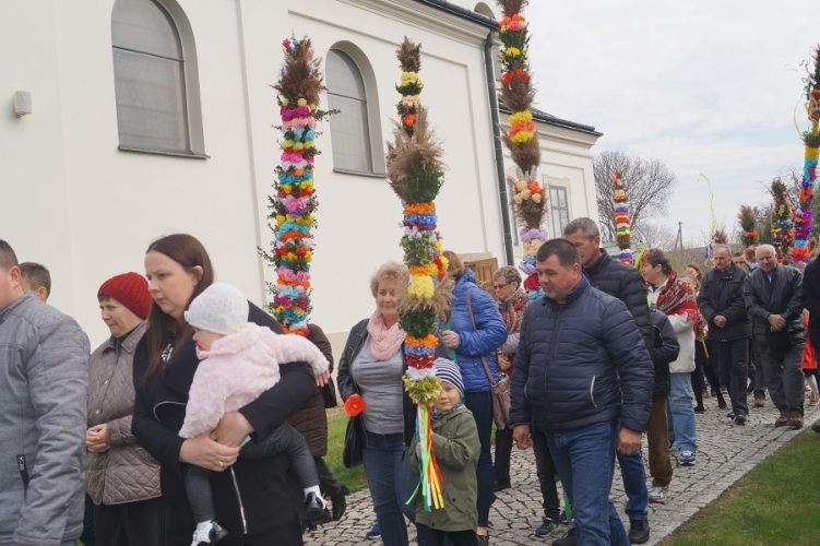 Zdjęcie z galerii