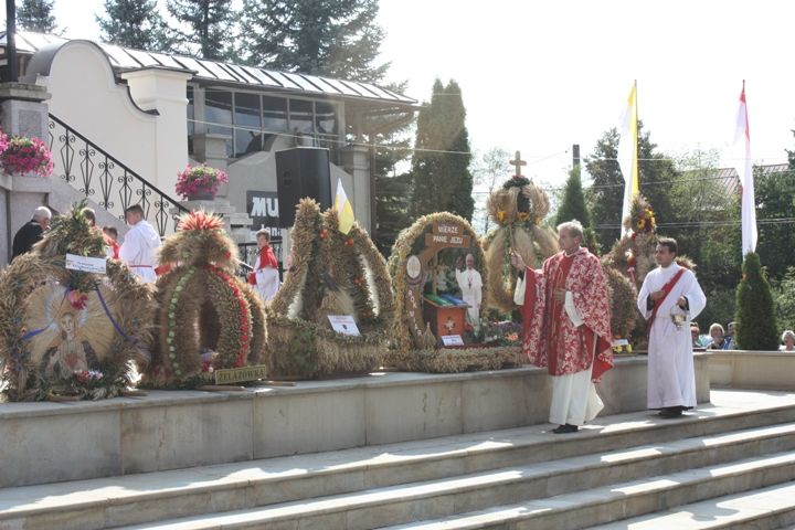 Zdjęcie z galerii